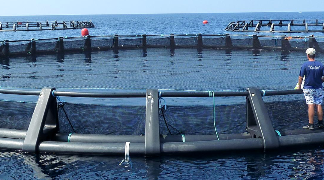PROGETTAZIONE IMPIANTI ACQUACOLTURA