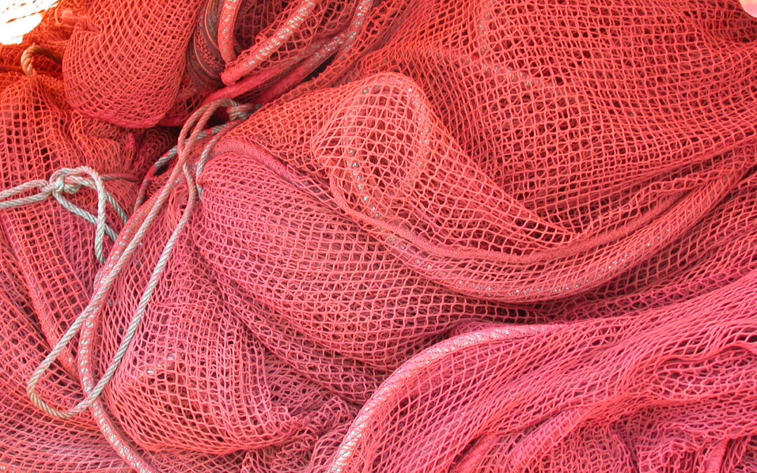 Antifouling