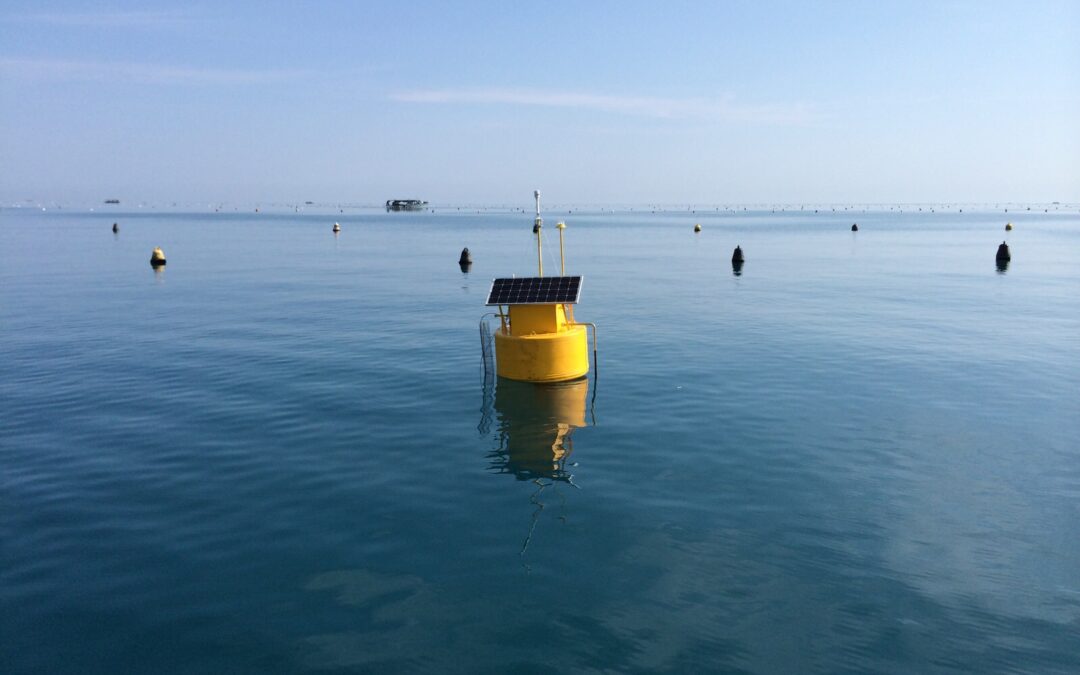 Boe Monitoraggio